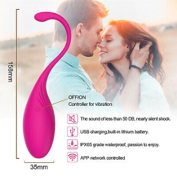 the new good vibrations guide to sex Remote Control Vibrator for Woman: Wireless & Rechargeable