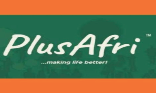 PLUSAFRI GLOBAL NETWORK LTD