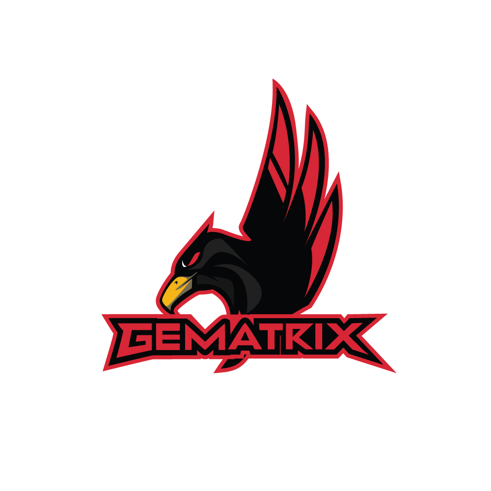 Team Gematrix Limited